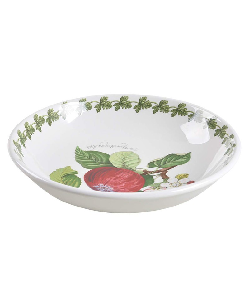 Hoary Morning Apple Pasta Bowl